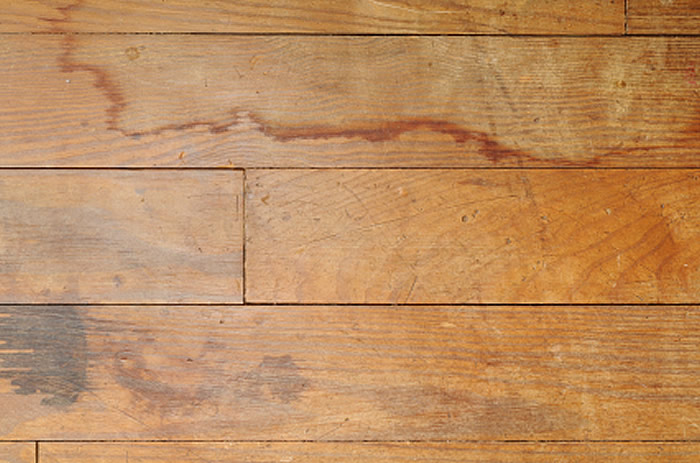 Hardwood Flooring Denver Water Damage, Will Water Damage Vinyl Flooring